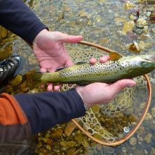 PROMO « ouverture de la pêche » -20% sur les prestations