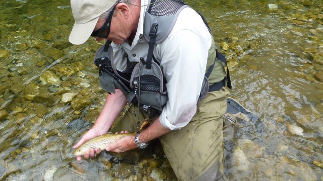 Stage pêche à la mouche