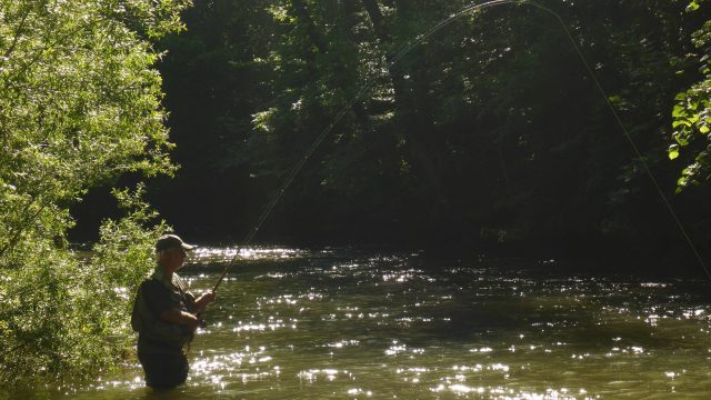 Stage pêche au « toc »